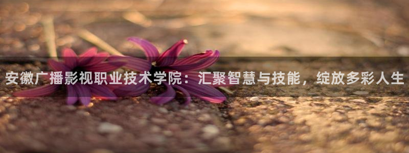 国产精品嫩草影院精东